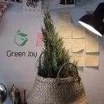 Giỏ chậu cây cỏ bàng Green Joy - size M