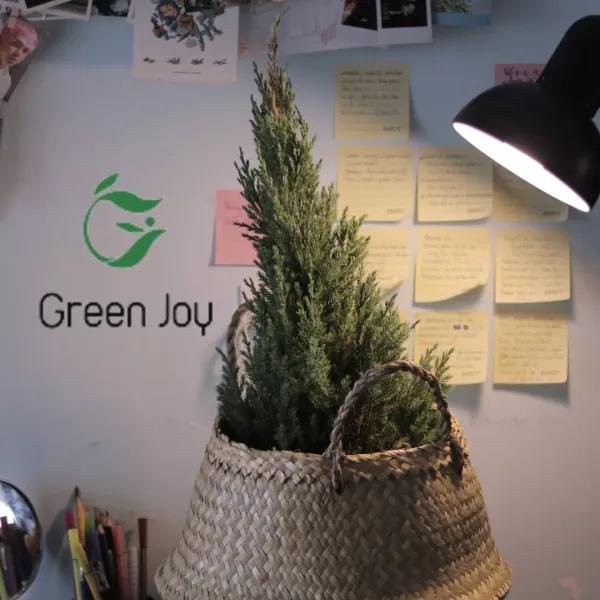 Giỏ chậu cây cỏ bàng Green Joy - size M