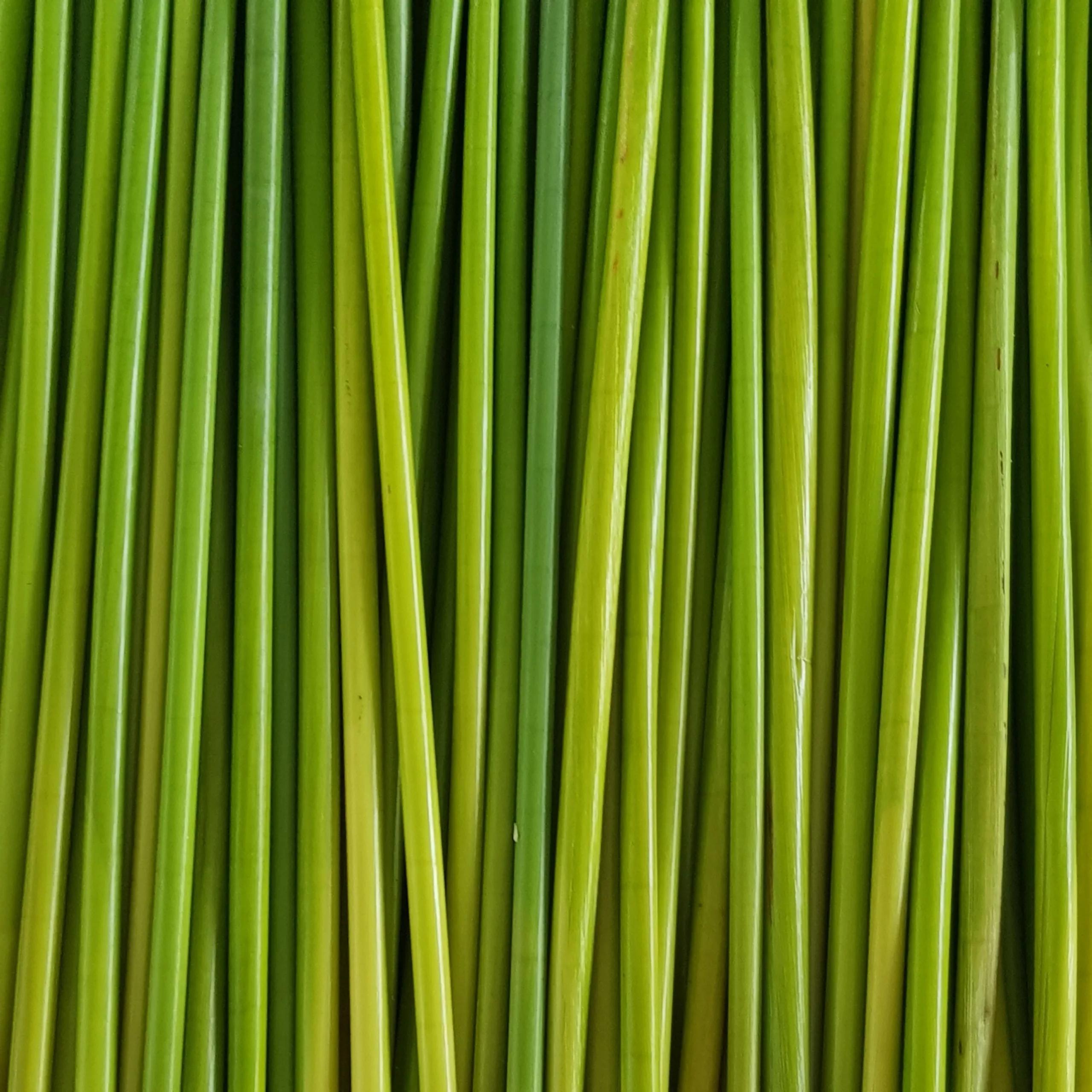 4 REASONS WHY YOU SHOULD USE GREEN JOY GRASS STRAWS
