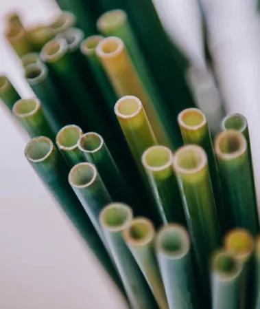 4 INSIRING WEDDINGS FOR USING GRASS STRAWS