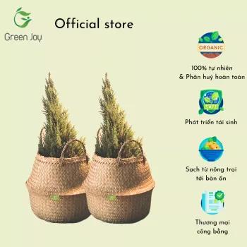 Giỏ chậu cây cỏ bàng Green Joy - size S