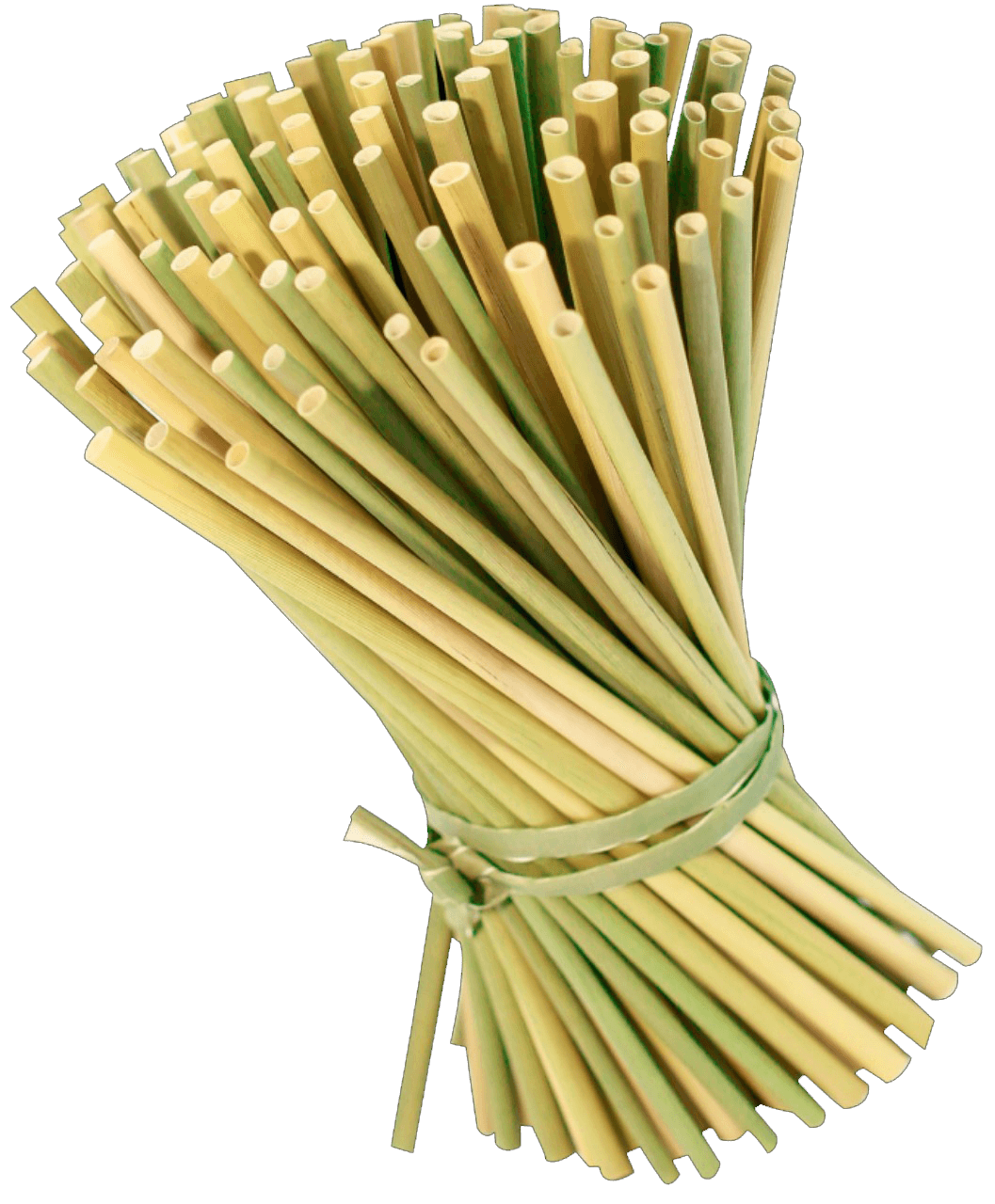 Grass Straws