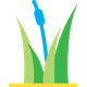 100 héc-ta: Bảo tồn hệ sinh thái cánh đồng cỏ bảng